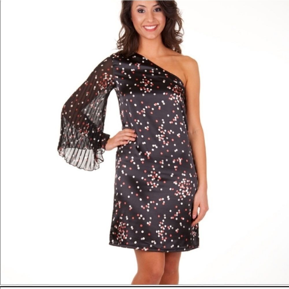 🎉Host Pick🎊Tracy Negoshian Emma Dress